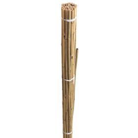 Bamboo Canes Bulk Bundle 120cm - 20 Pack